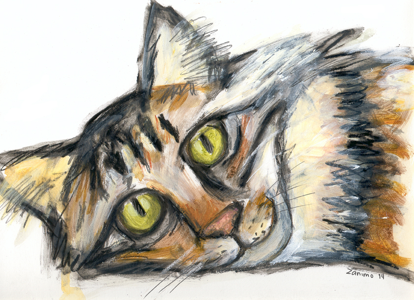 Tabby Cat No.2