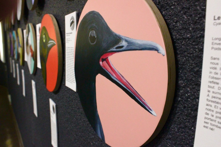 ART•NID•THOLOGIE -détail mur sud