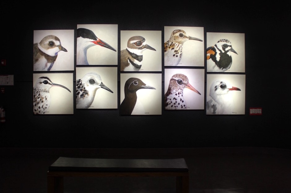 ART•NID•THOLOGIE -mur est