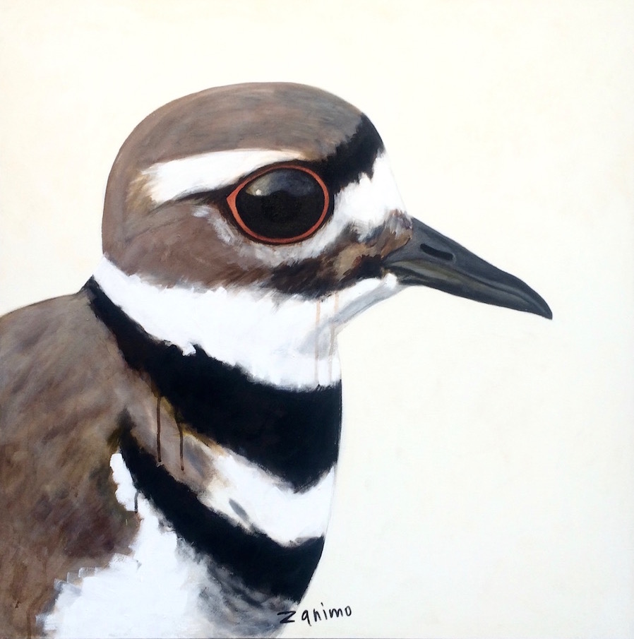 peinture, oiseaux, Îles de la Madeleine, zanimo, exposition, gourmande de nature, galerie, art, bird, birds, painting, bird painting, contemporary art, canadian artist