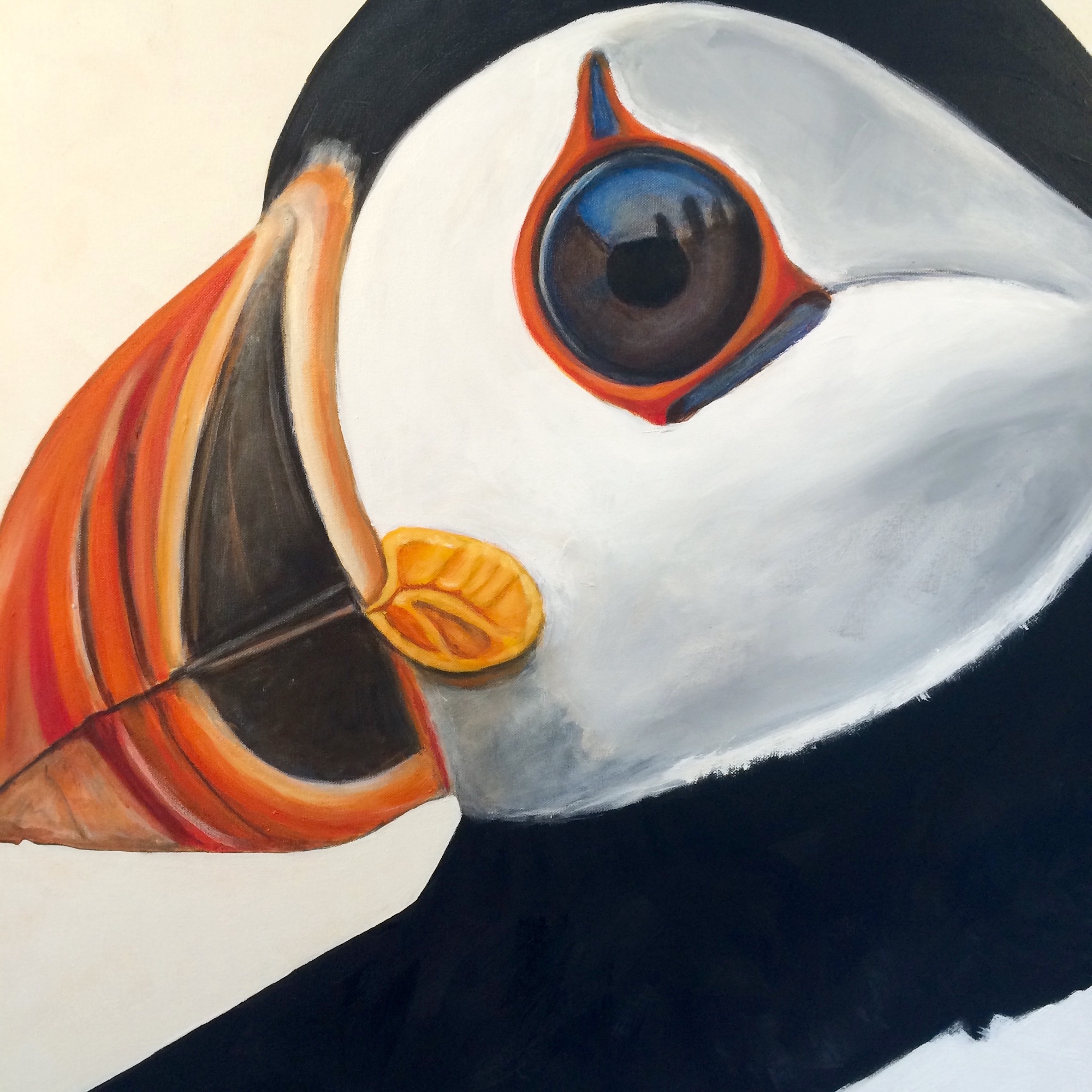 peinture, oiseaux, Îles de la Madeleine, zanimo, exposition, gourmande de nature, galerie, zanimo, art, bird, birds, bird painting, contemporary art, canadian artist