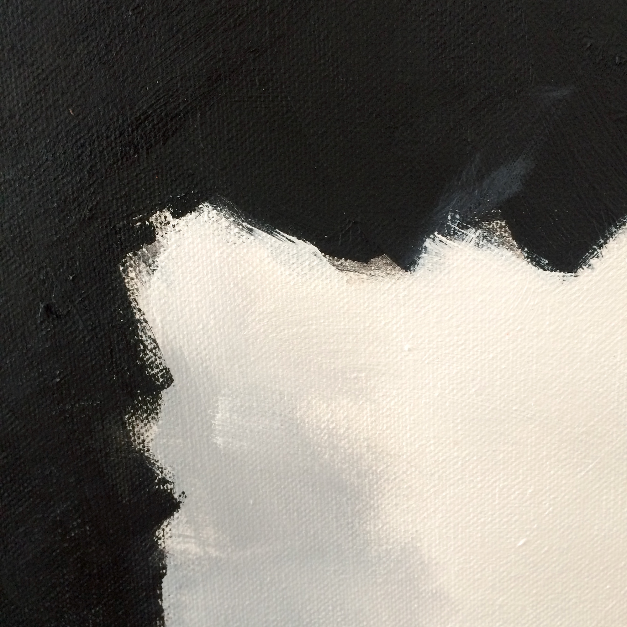 peinture, oiseaux, Îles de la Madeleine, zanimo, exposition, gourmande de nature, galerie, zanimo, art, bird, birds, bird painting, contemporary art, canadian artist