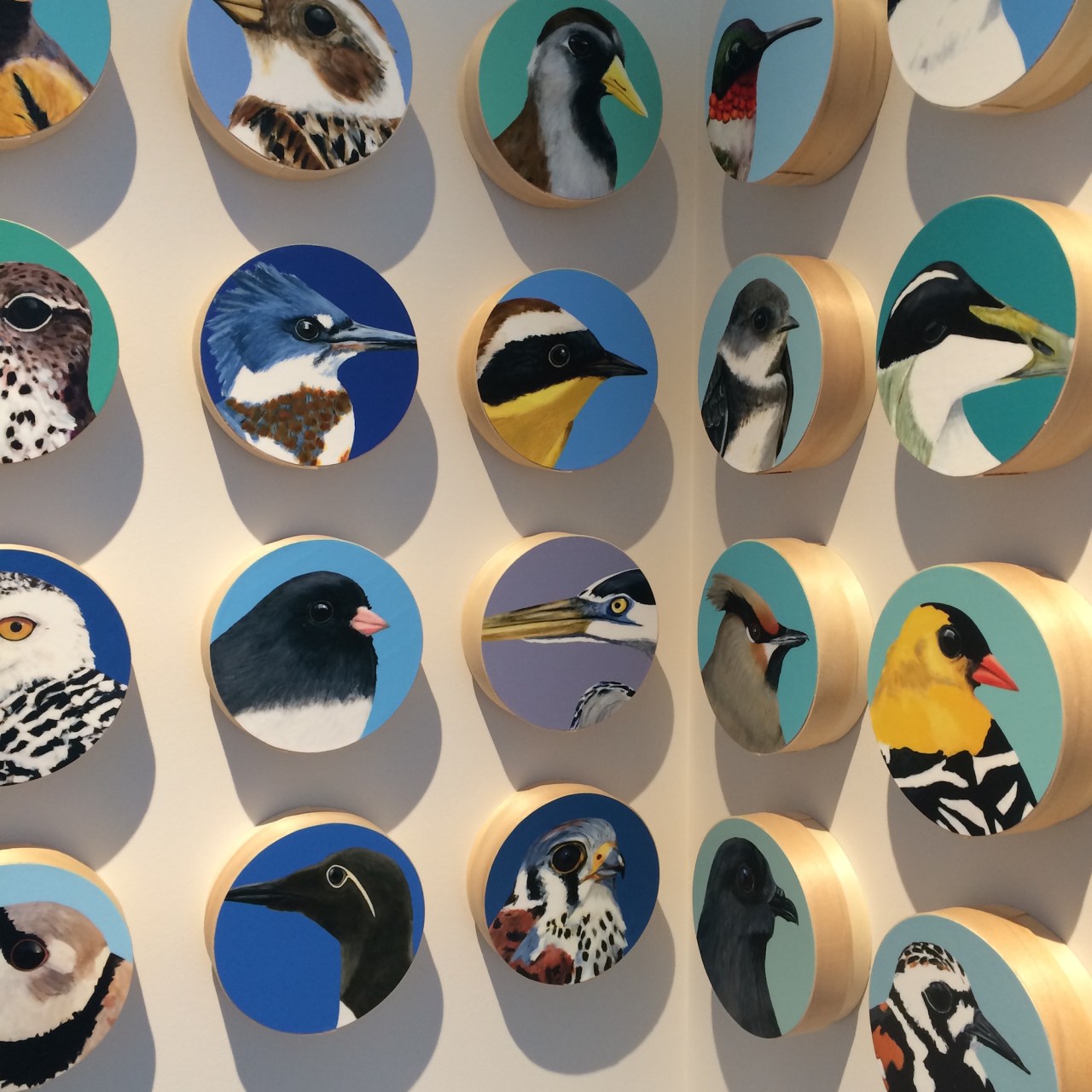 peinture, oiseaux, Îles de la Madeleine, zanimo, exposition, gourmande de nature, galerie, zanimo, art, bird, birds, bird painting, contemporary art, canadian artist