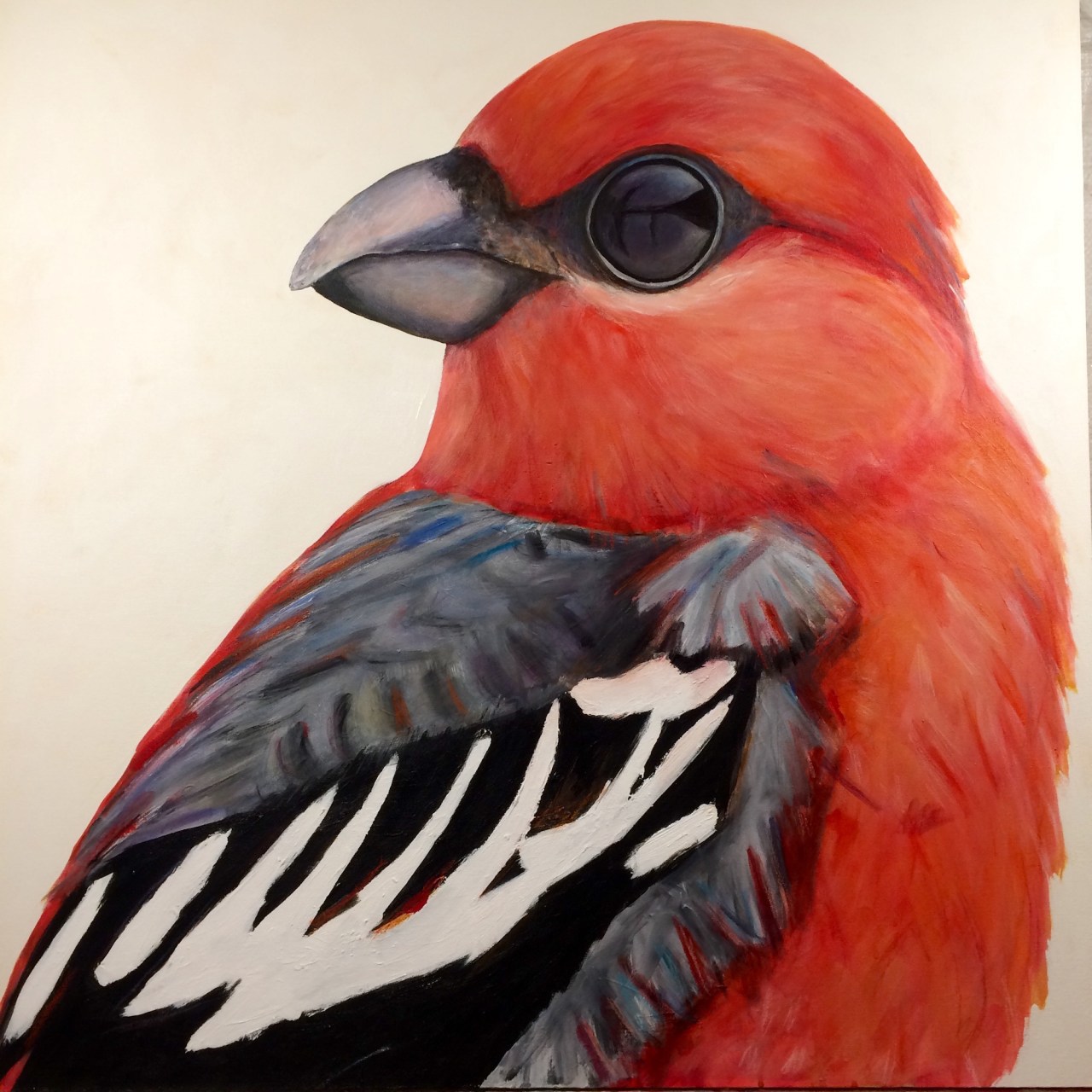 peinture, oiseaux, Îles de la Madeleine, zanimo, exposition, gourmande de nature, galerie, zanimo, art, bird, birds, bird painting, contemporary art, canadian artist