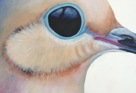 peinture, oiseaux, Îles de la Madeleine, zanimo, exposition, gourmande de nature, galerie, zanimo, art, bird, birds, bird painting, contemporary art, canadian artist