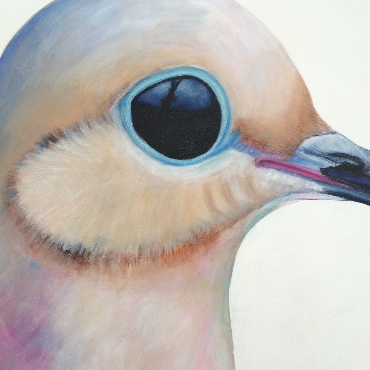 peinture, oiseaux, Îles de la Madeleine, zanimo, exposition, gourmande de nature, galerie, zanimo, art, bird, birds, bird painting, contemporary art, canadian artist