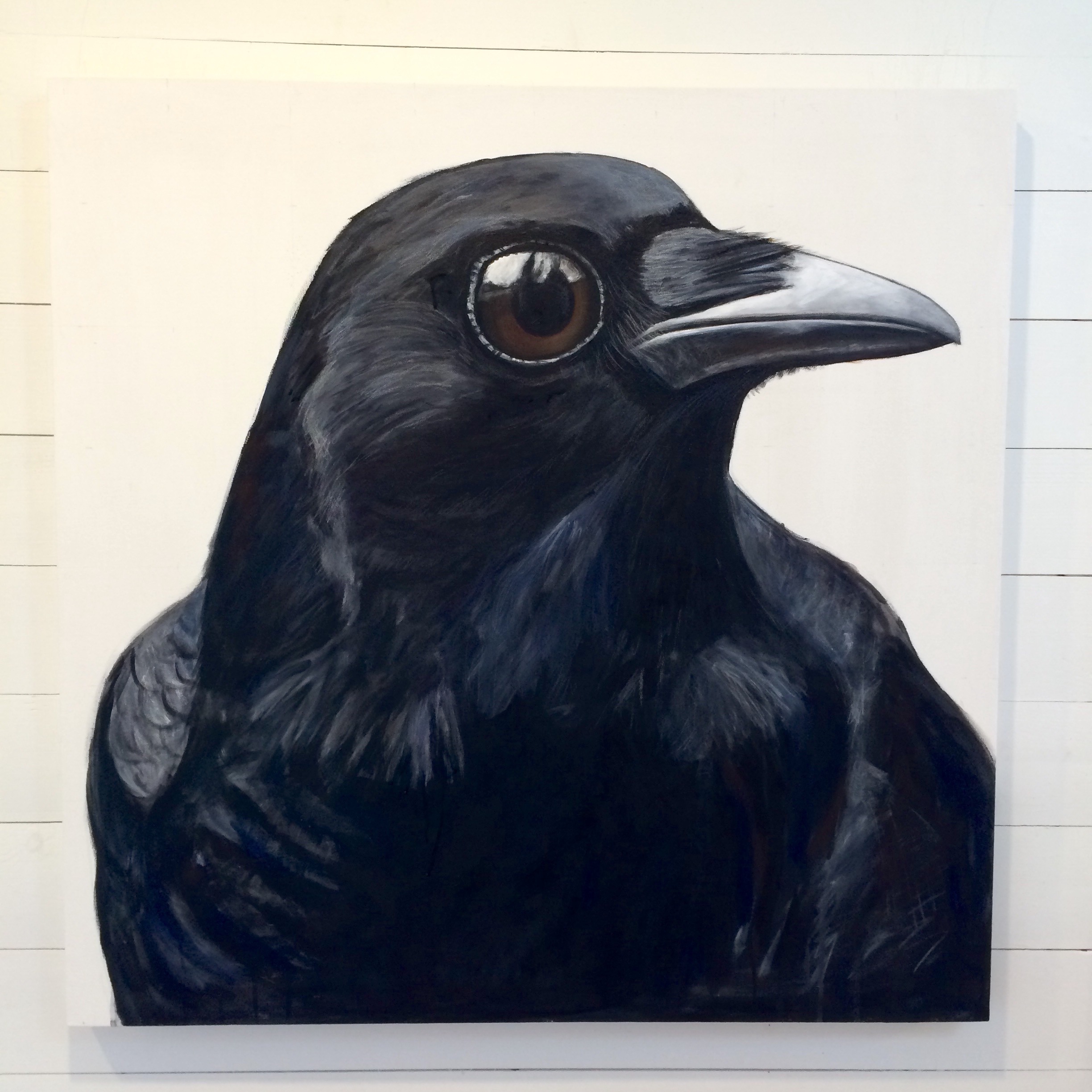 peinture, oiseaux, Îles de la Madeleine, zanimo, exposition, gourmande de nature, galerie, zanimo, art, bird, birds, bird painting, contemporary art, canadian artist