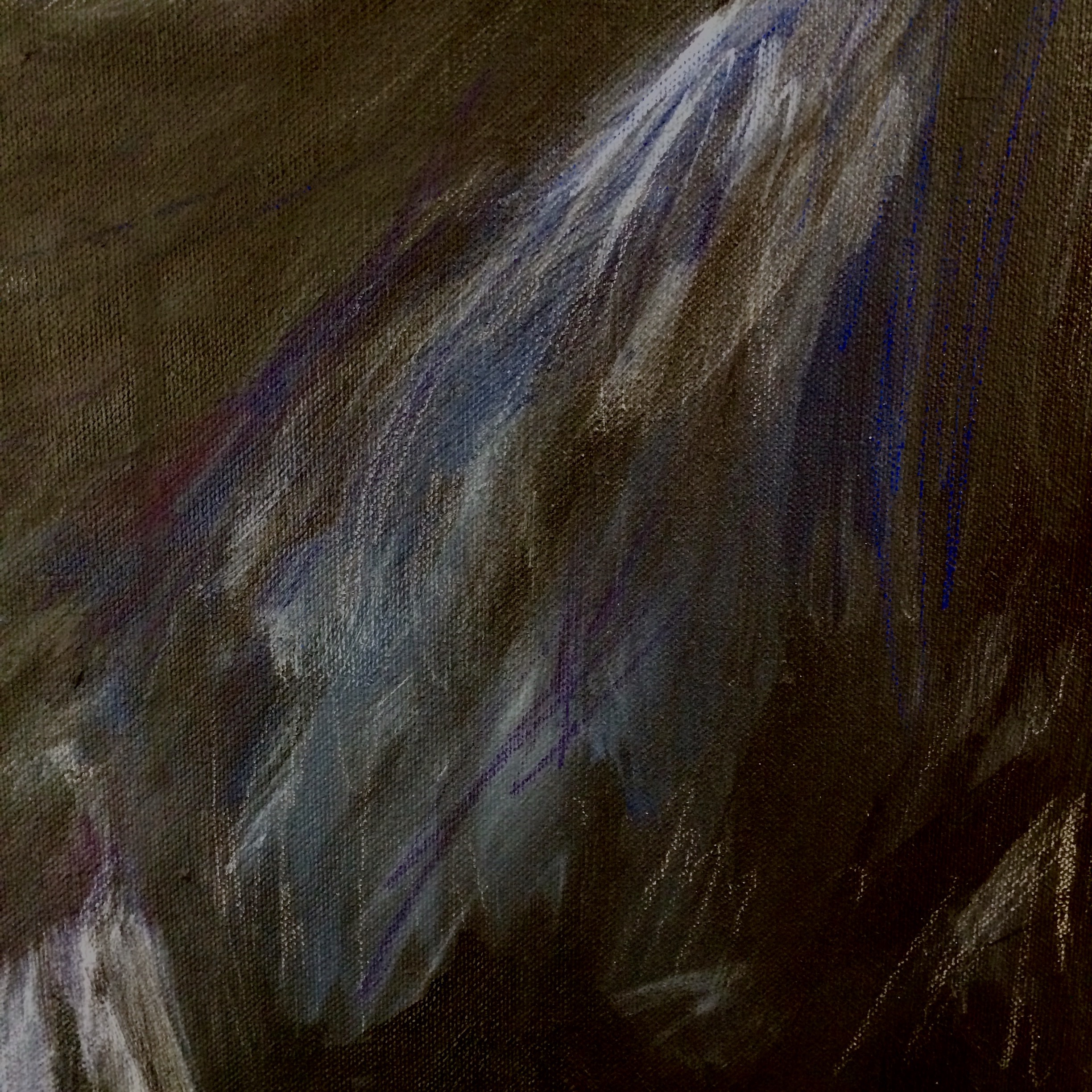 peinture, oiseaux, Îles de la Madeleine, zanimo, exposition, gourmande de nature, galerie, zanimo, art, bird, birds, bird painting, contemporary art, canadian artist