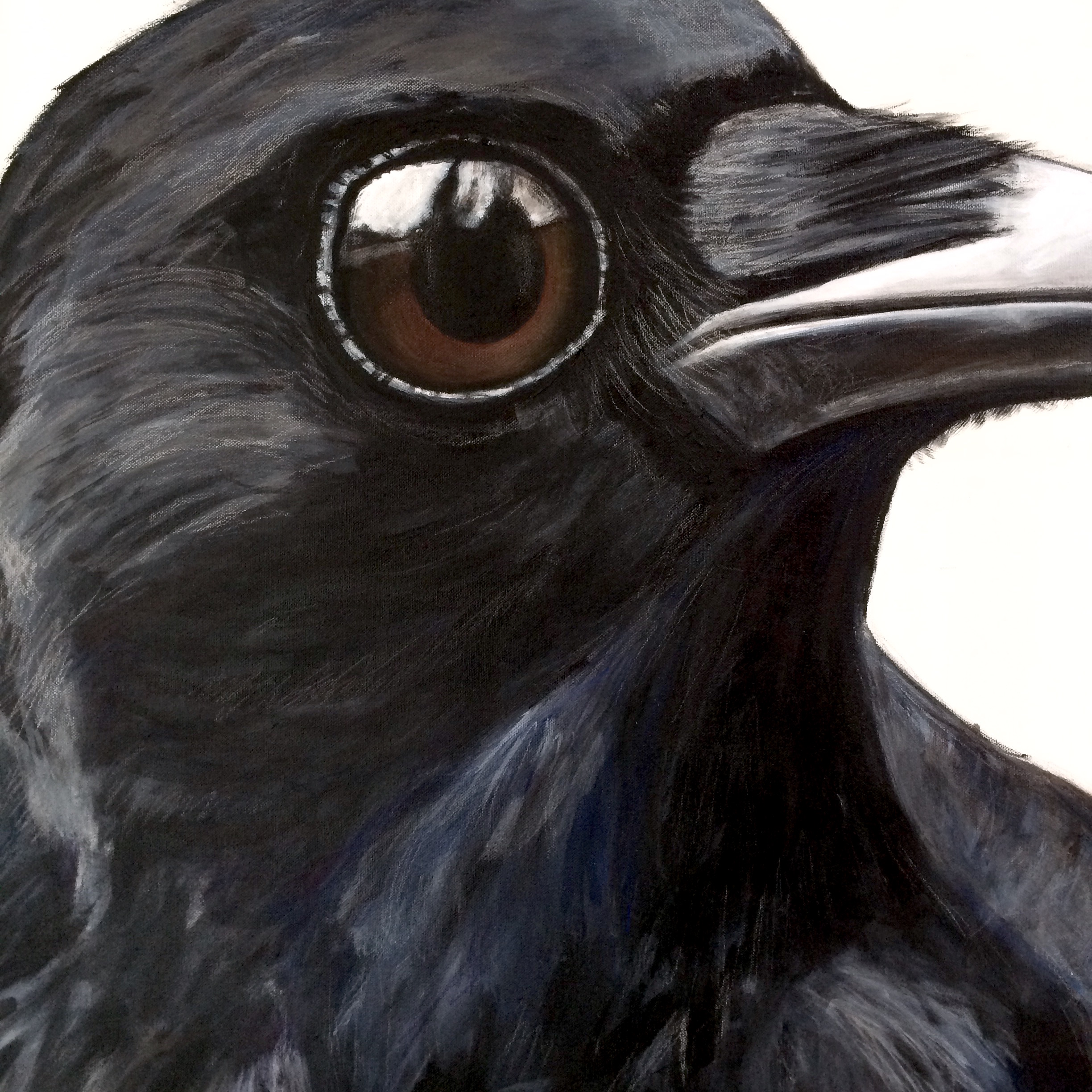 corneille d'Amérique, peinture, oiseaux, Îles de la Madeleine, zanimo, galerie, exposition, gourmande de nature, contemporary painting, bird, large format