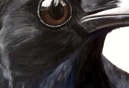 peinture, oiseaux, Îles de la Madeleine, zanimo, exposition, gourmande de nature, galerie, zanimo, art, bird, birds, bird painting, contemporary art, canadian artist