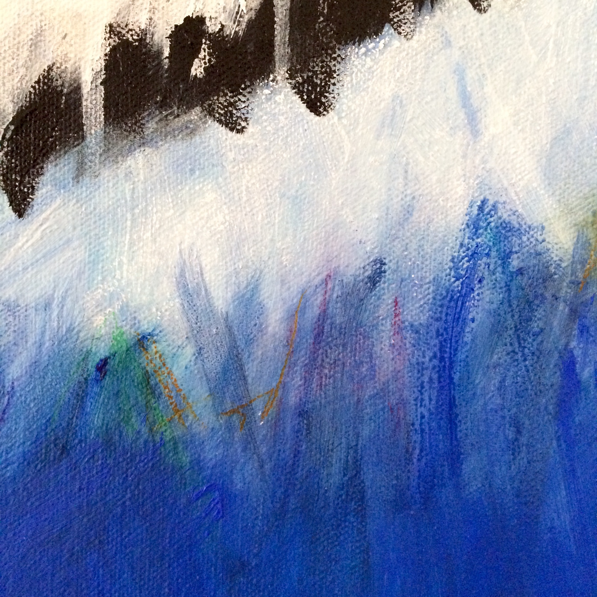 Geai bleu, peinture d'oiseau, portrait d'oiseau, îles de la madeleine, zanimo, gourmande de nature, grand format