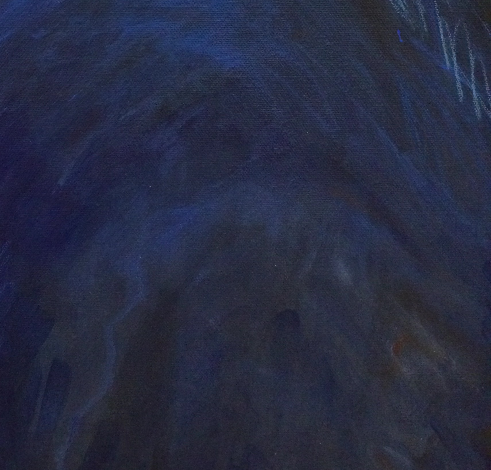 peinture, oiseaux, Îles de la Madeleine, zanimo, exposition, gourmande de nature, galerie, zanimo, art, bird, birds, bird painting, contemporary art, canadian artist