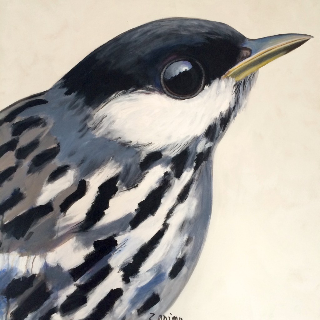 peinture, oiseaux, Îles de la Madeleine, zanimo, exposition, gourmande de nature, galerie, art, bird, birds, painting, bird painting, contemporary art, canadian artist