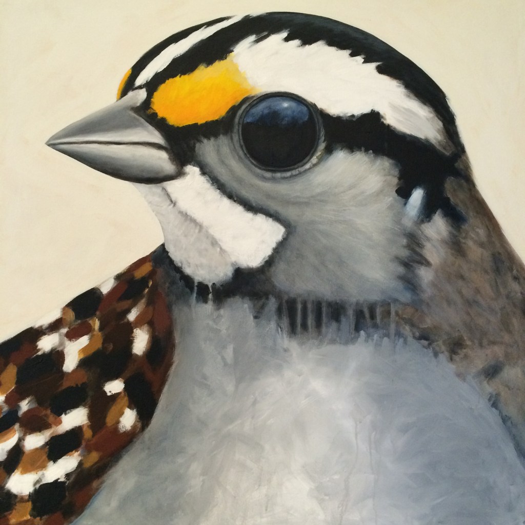 peinture, oiseaux, Îles de la Madeleine, zanimo, exposition, gourmande de nature, galerie, art, bird, birds, painting, bird painting, contemporary art, canadian artist