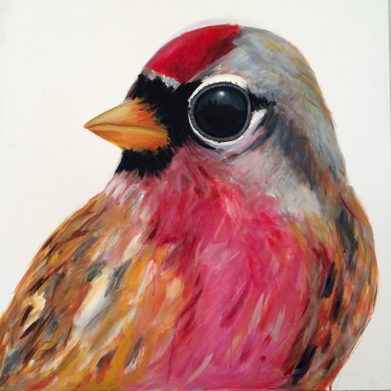 peinture, oiseaux, Îles de la Madeleine, zanimo, exposition, gourmande de nature, galerie, zanimo, art, bird, birds, bird painting, contemporary art, canadian artist