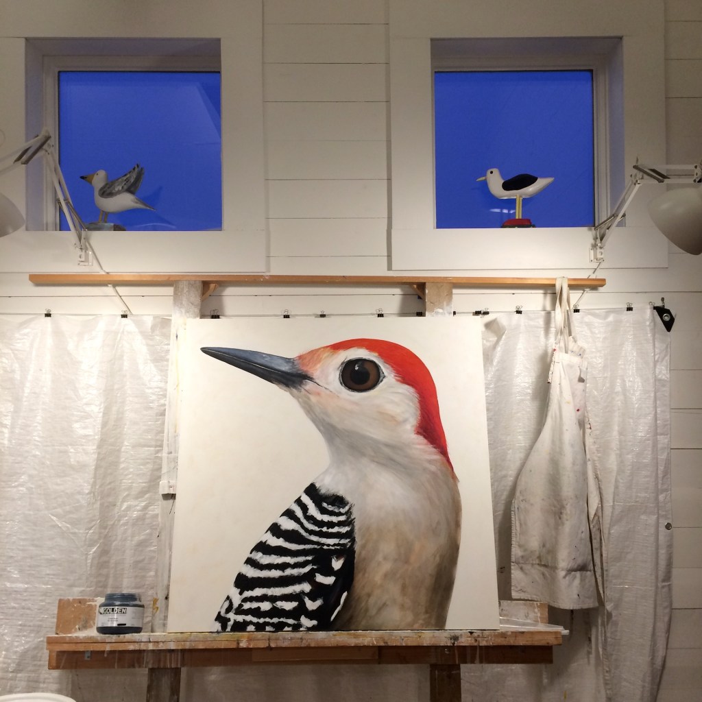 peinture, oiseaux, Îles de la Madeleine, zanimo, exposition, gourmande de nature, galerie, zanimo, art, bird, birds, bird painting, contemporary art, canadian artist