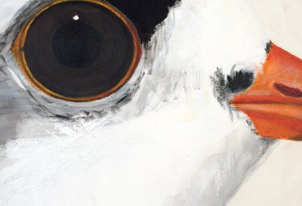 peinture, oiseaux, Îles de la Madeleine, zanimo, exposition, gourmande de nature, galerie, art, bird, birds, painting, bird painting, contemporary art, canadian artist