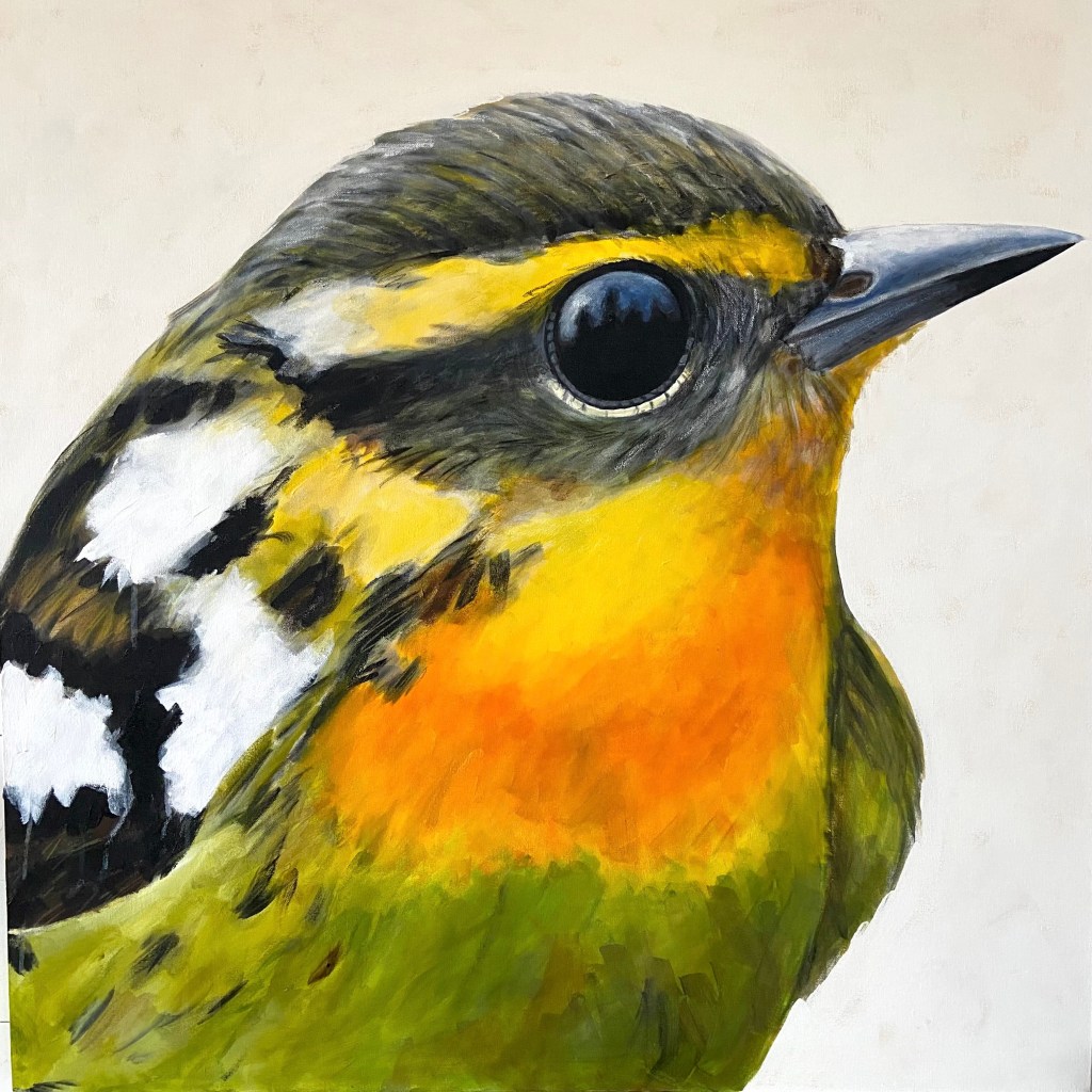 peinture, oiseaux, Îles de la Madeleine, zanimo, exposition, gourmande de nature, galerie, art, bird, birds, painting, bird painting, contemporary art, canadian artist