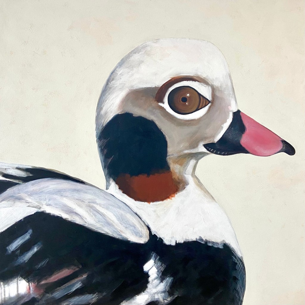 peinture, oiseaux, Îles de la Madeleine, zanimo, exposition, gourmande de nature, galerie, art, bird, birds, painting, bird painting, contemporary art, canadian artist