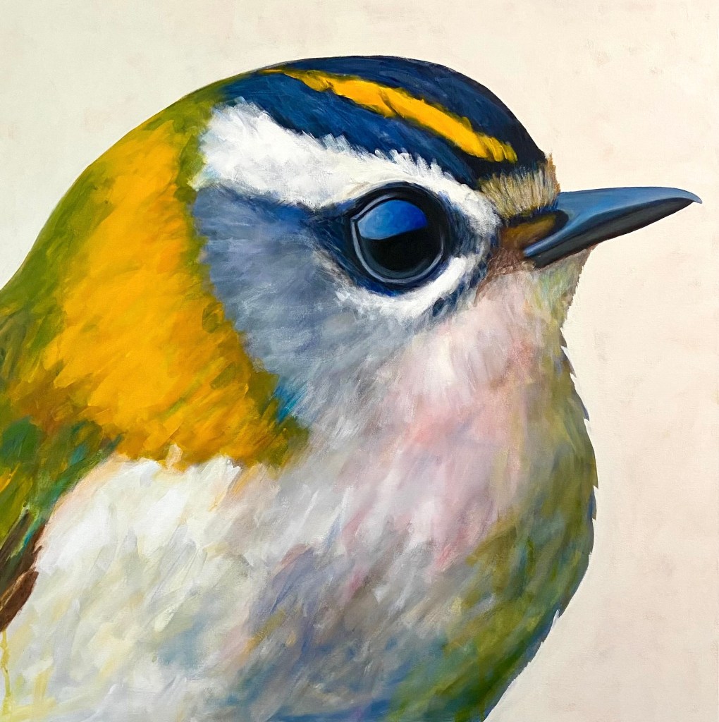 peinture, oiseaux, Îles de la Madeleine, zanimo, exposition, gourmande de nature, galerie, art, bird, birds, painting, bird painting, contemporary art, canadian artist