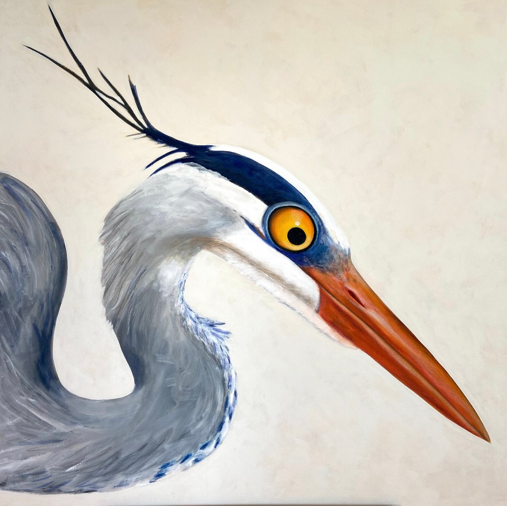 peinture, oiseaux, Îles de la Madeleine, zanimo, exposition, gourmande de nature, galerie, art, bird, birds, painting, bird painting, contemporary art, canadian artist