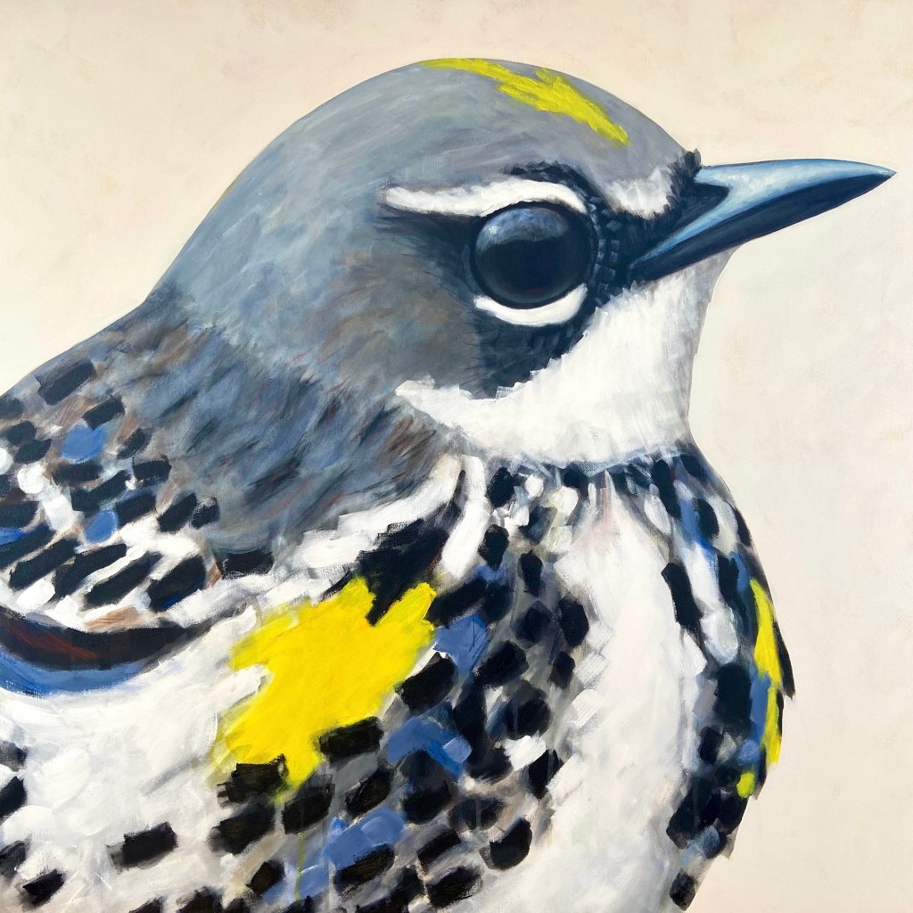 peinture, oiseaux, Îles de la Madeleine, zanimo, exposition, gourmande de nature, galerie, art, bird, birds, painting, bird painting, contemporary art, canadian artist