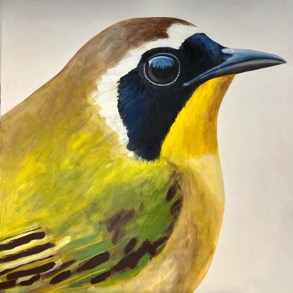 peinture, oiseaux, Îles de la Madeleine, zanimo, exposition, gourmande de nature, galerie, art, bird, birds, painting, bird painting, contemporary art, canadian artist