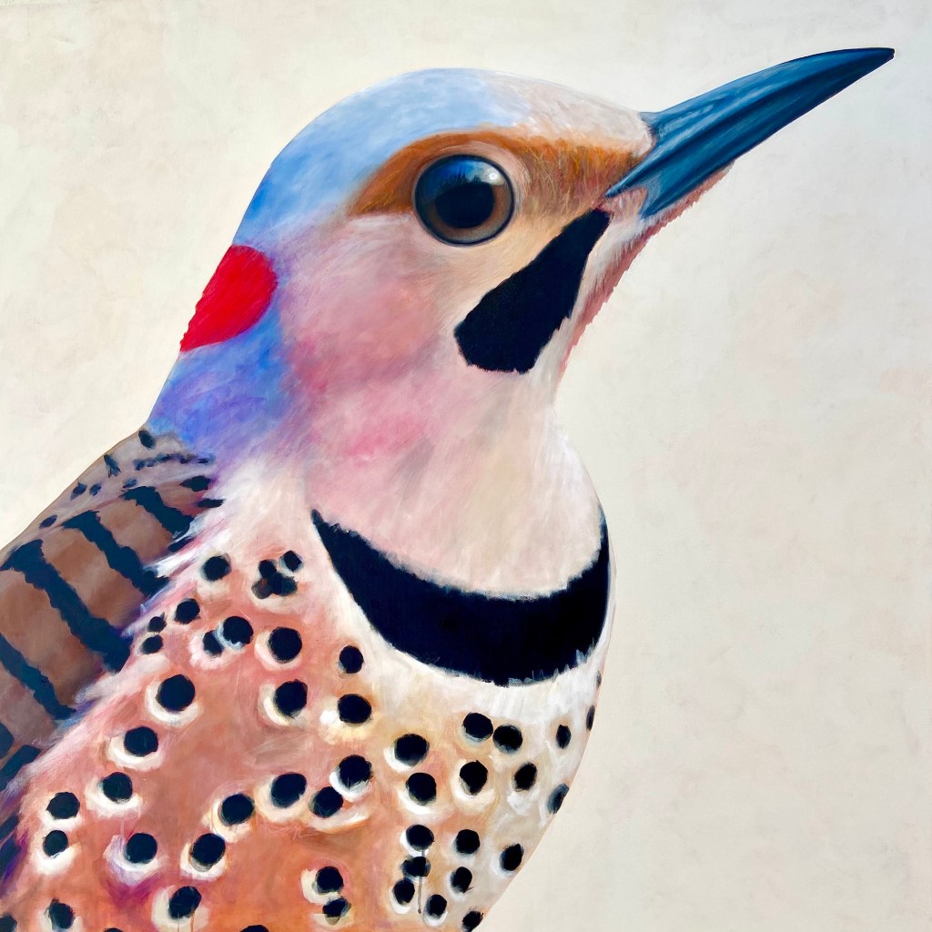 peinture, oiseaux, Îles de la Madeleine, zanimo, exposition, gourmande de nature, galerie, art, bird, birds, painting, bird painting, contemporary art, canadian artist