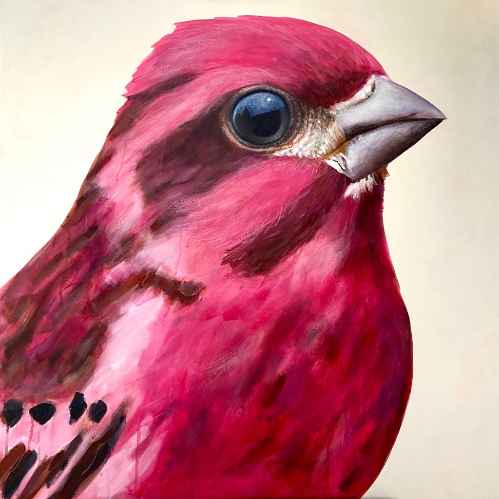 peinture, oiseaux, Îles de la Madeleine, zanimo, exposition, gourmande de nature, galerie, art, bird, birds, painting, bird painting, contemporary art, canadian artist