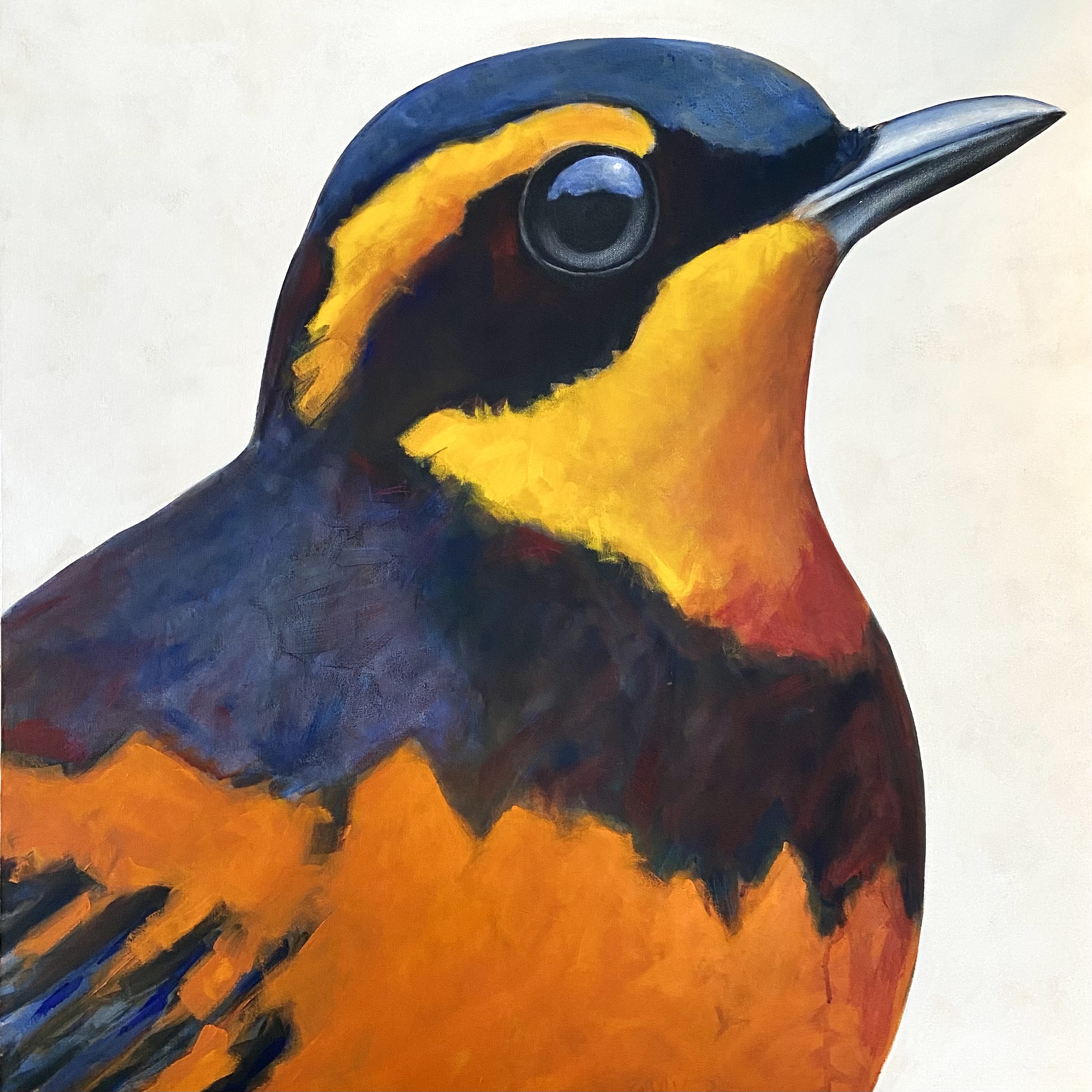 peinture, oiseaux, Îles de la Madeleine, zanimo, exposition, gourmande de nature, galerie, art, bird, birds, painting, bird painting, contemporary art, canadian artist