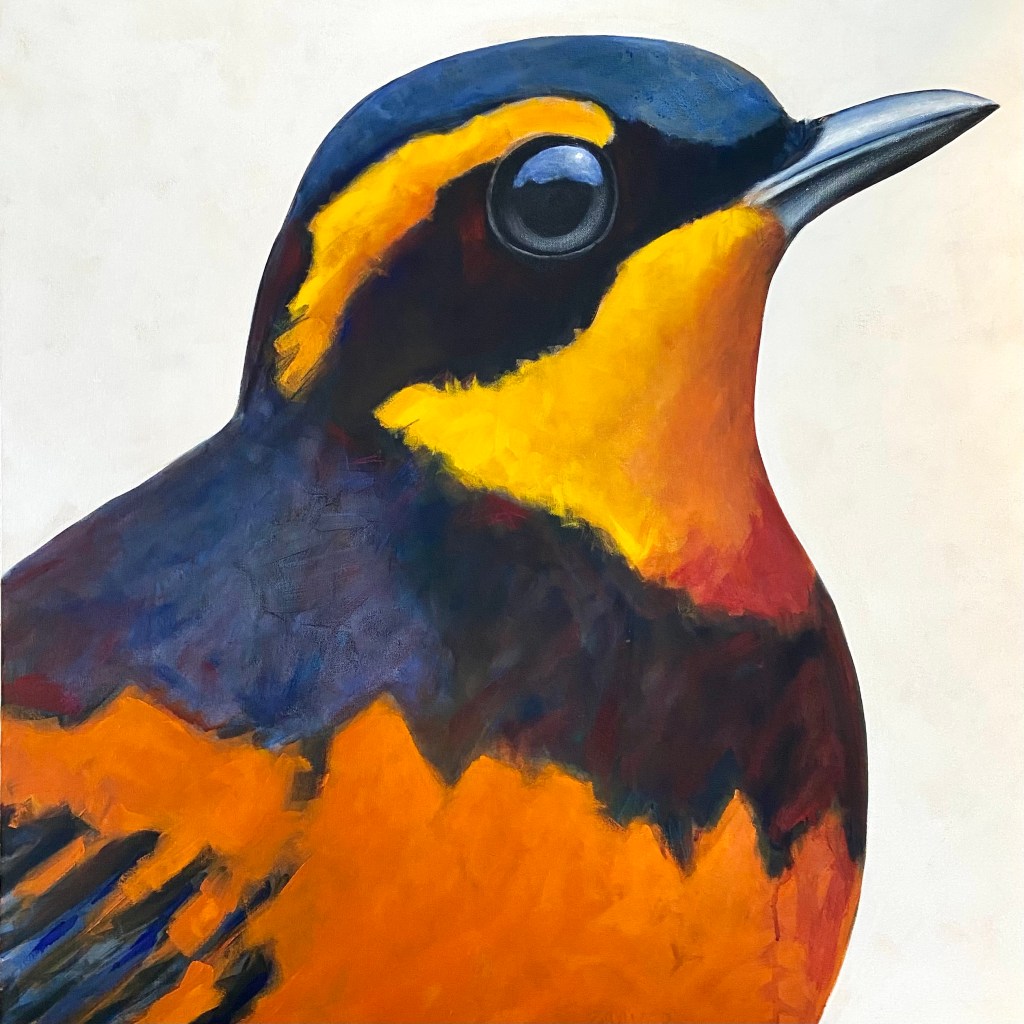 peinture, oiseaux, Îles de la Madeleine, zanimo, exposition, gourmande de nature, galerie, art, bird, birds, painting, bird painting, contemporary art, canadian artist