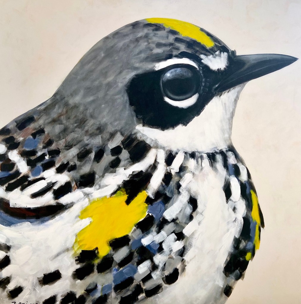 peinture, oiseaux, Îles de la Madeleine, zanimo, exposition, gourmande de nature, galerie, art, bird, birds, painting, bird painting, contemporary art, canadian artist