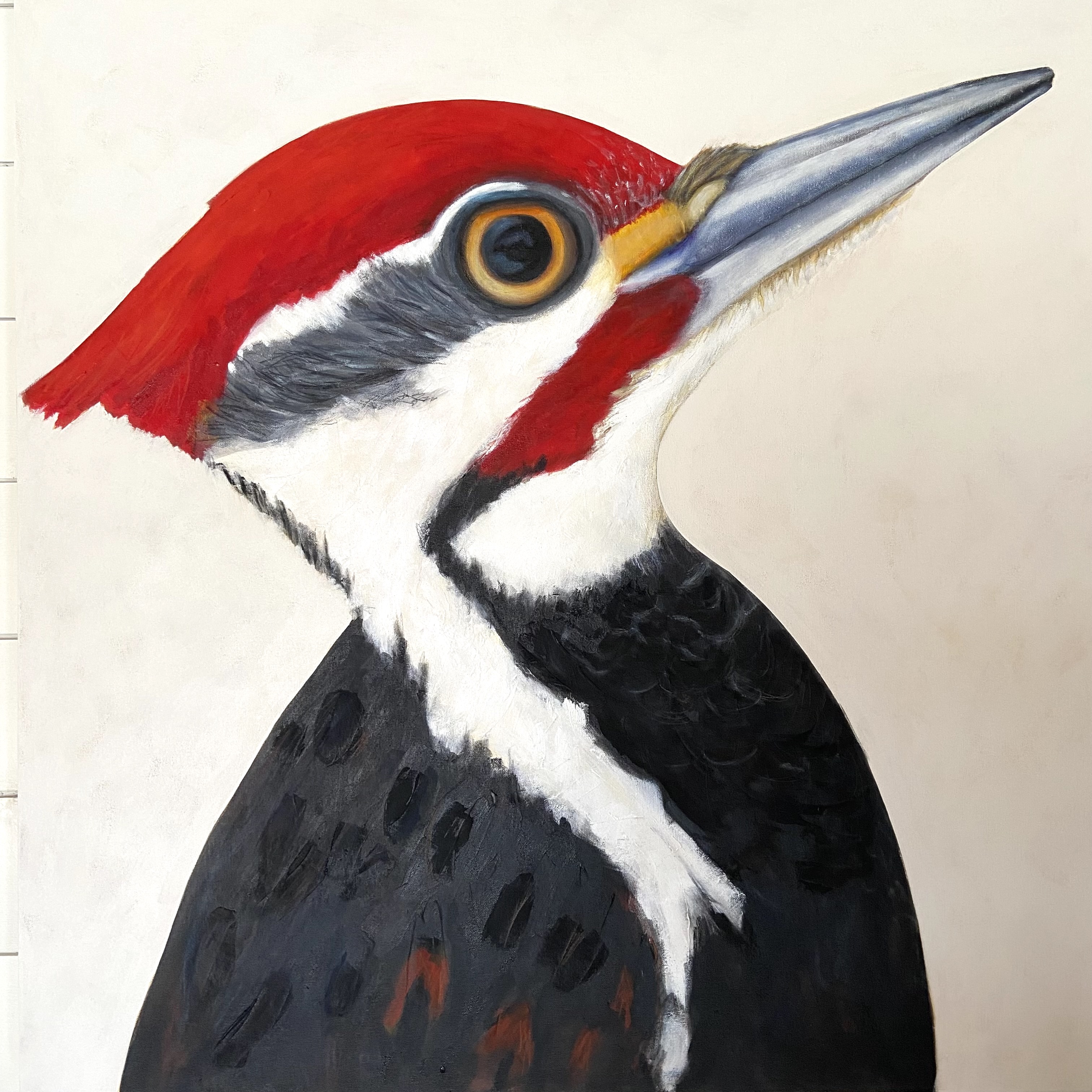 peinture, oiseaux, Îles de la Madeleine, zanimo, exposition, gourmande de nature, galerie, art, bird, birds, painting, bird painting, contemporary art, canadian artist