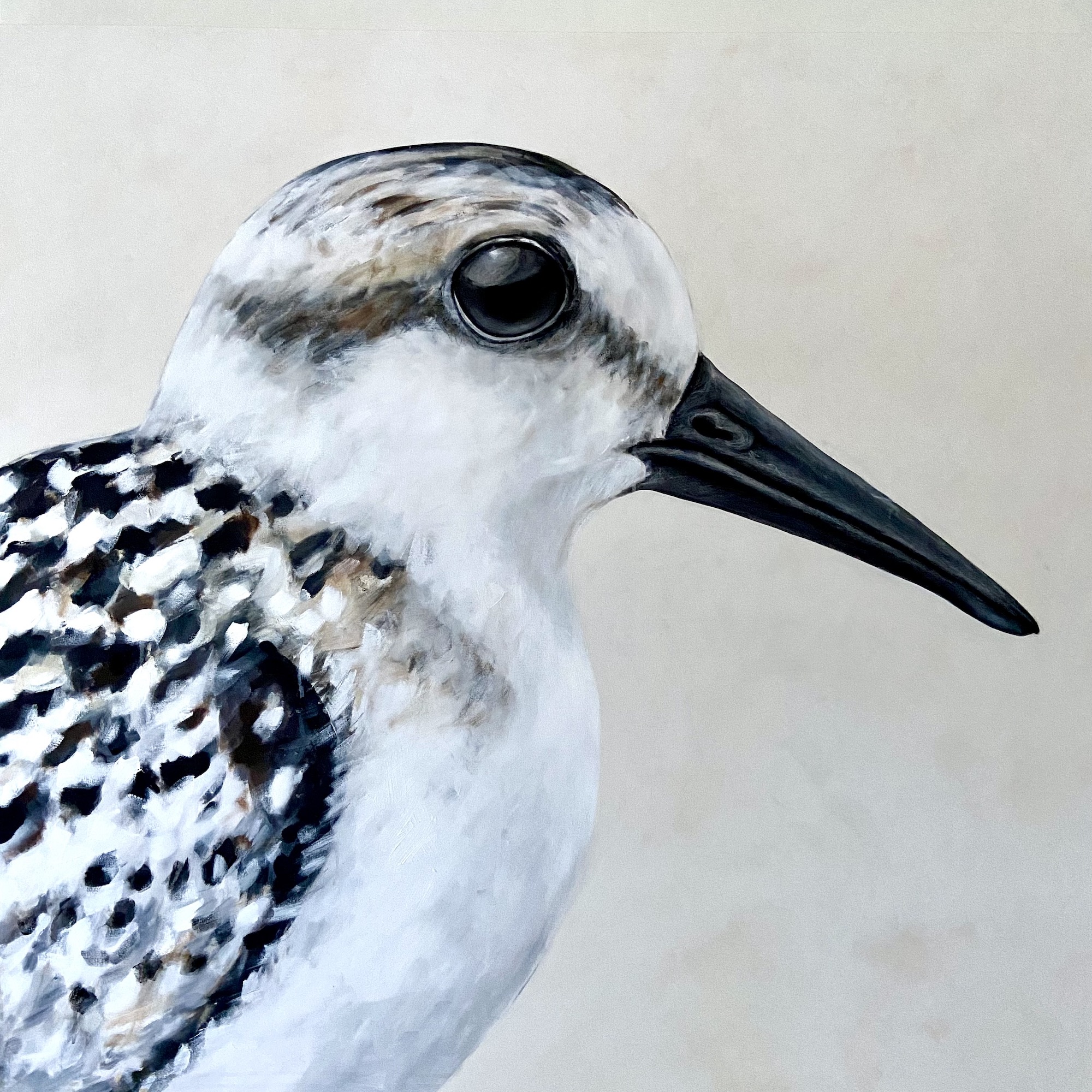 peinture, oiseaux, Îles de la Madeleine, zanimo, exposition, gourmande de nature, galerie, art, bird, birds, painting, bird painting, contemporary art, canadian artist