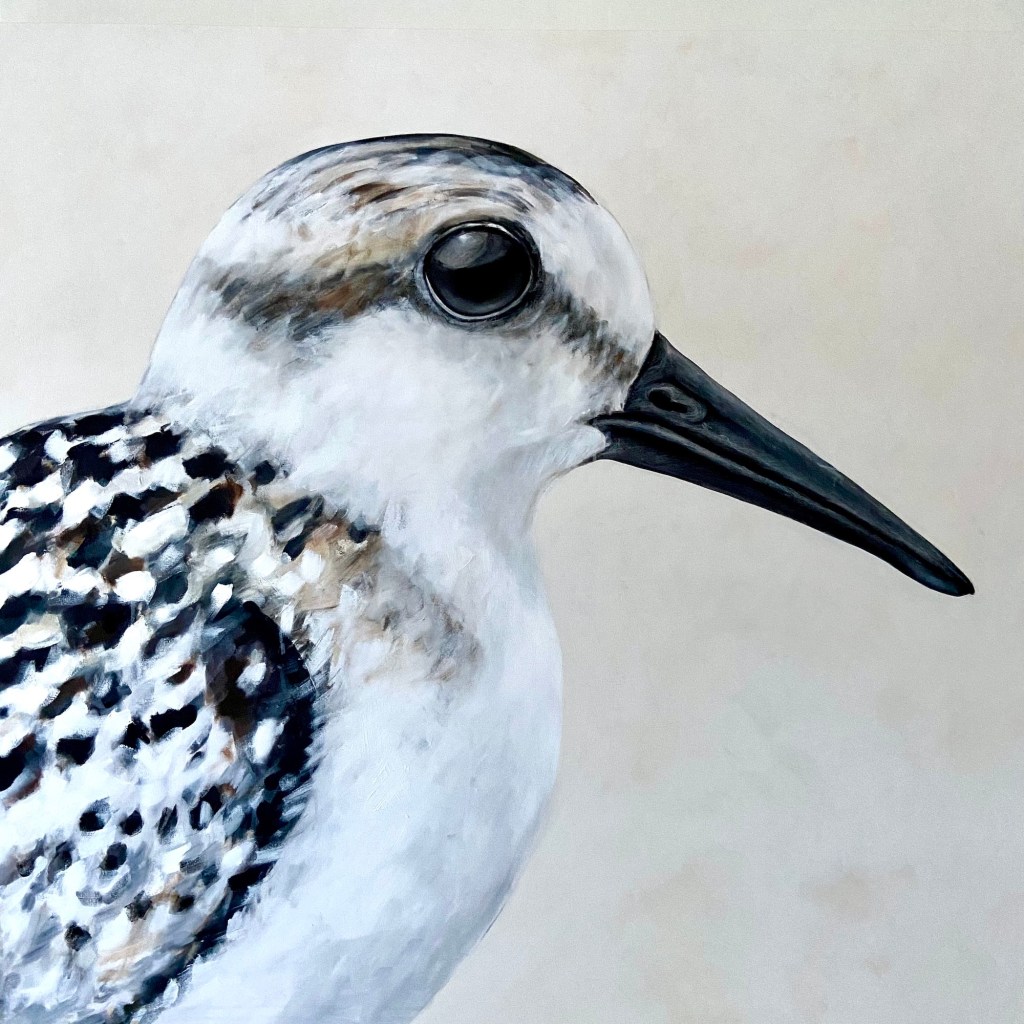 peinture, oiseaux, Îles de la Madeleine, zanimo, exposition, gourmande de nature, galerie, art, bird, birds, painting, bird painting, contemporary art, canadian artist